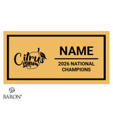 Stingray Allstars Citrus Cheer 2026 Championship Display Case