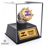 Stingray Allstars Moonlight Summit Cheer 2026 Championship Display Case